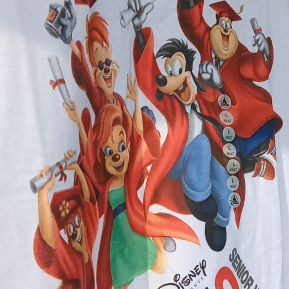 Disney Parks A Goofy Movie Shirt - Picture 8 of 16